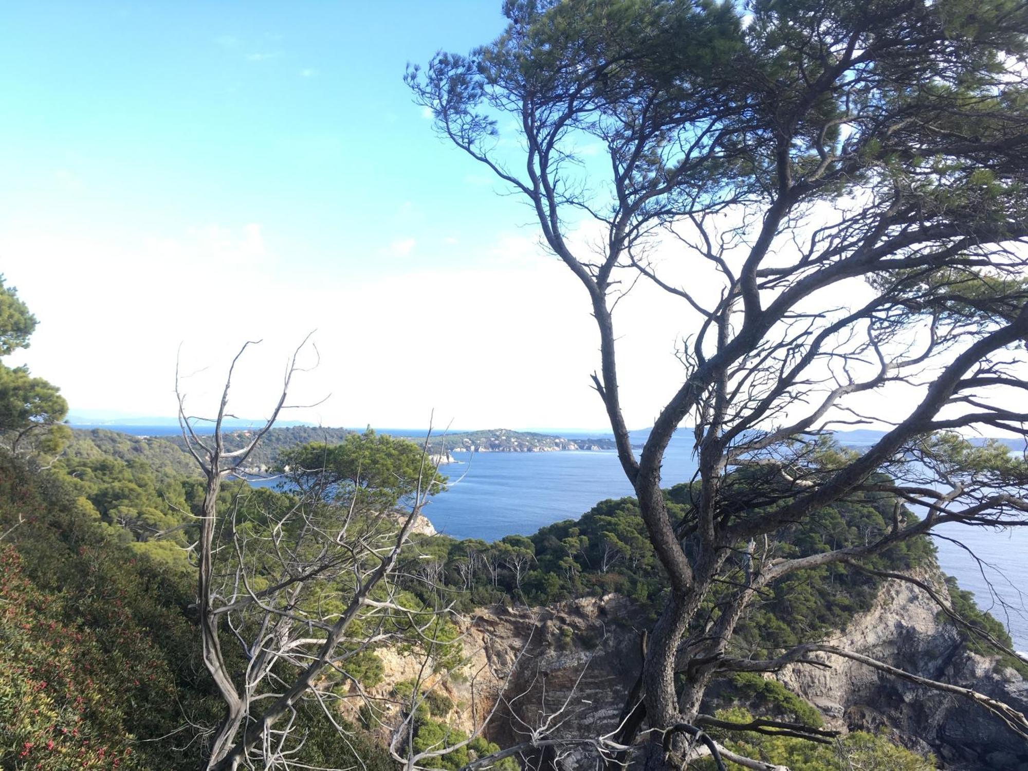 L Annexe Des Sables Villa Hyères Buitenkant foto